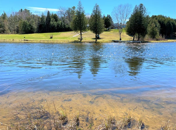 Off River Edge Drive, Cheboygan, MI 49721