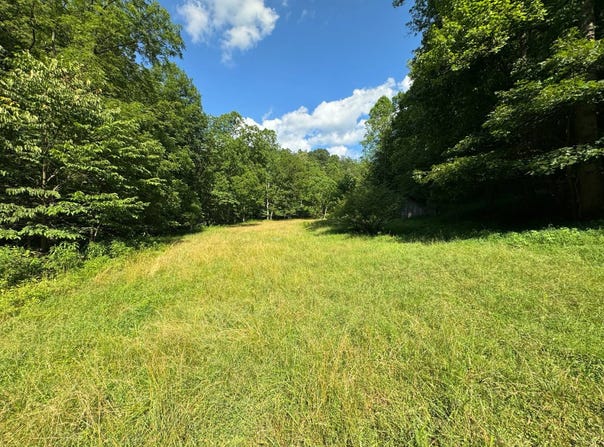 363 Angel's Run Drive, Big Springs, WV 26137