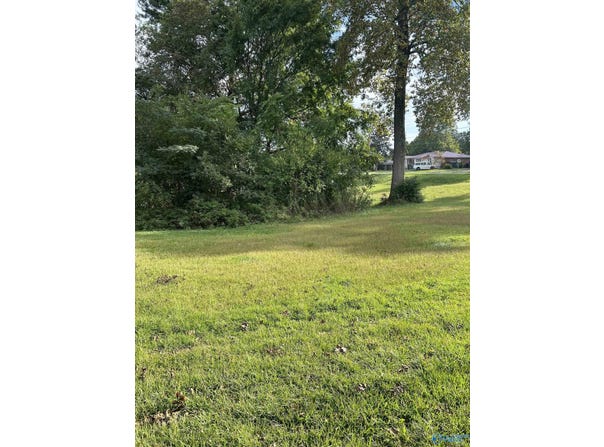 16-17-1 Jarmon Road, Guntersville, AL 35976