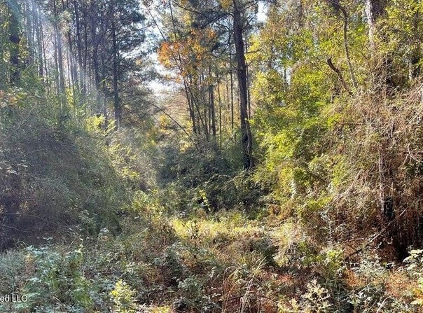 Delaware Avenue, McComb, MS 39648