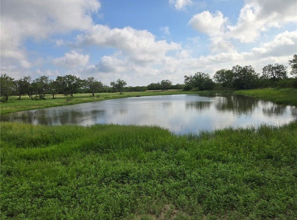 3073 Bravo 6, San Diego, TX 78384