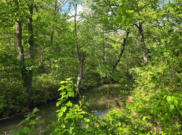 TR 59,60 &11 K-TRAIL, Albion, OK 74571