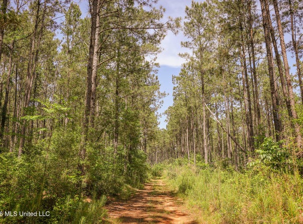 Graves Road, Liberty, MS 39645