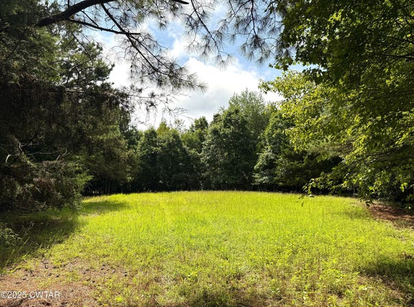 00 Old Hwy 69 & Hog Creek Rd, Sugar Tree, TN 38380