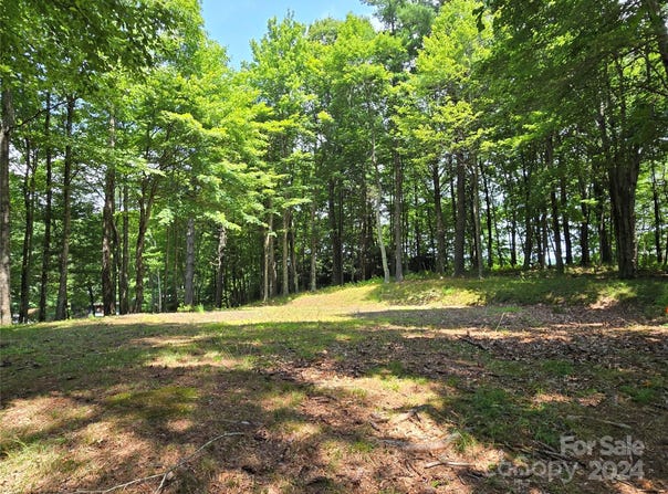 Vista Ridge Road lot: 13, Fleetwood, NC 28626