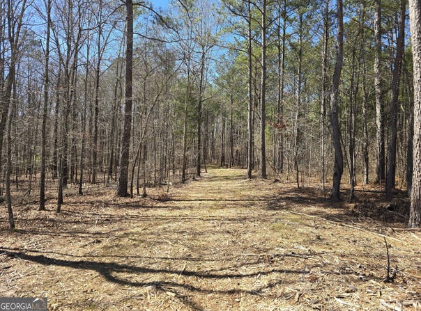 05 Bolton, Zebulon, GA 30295