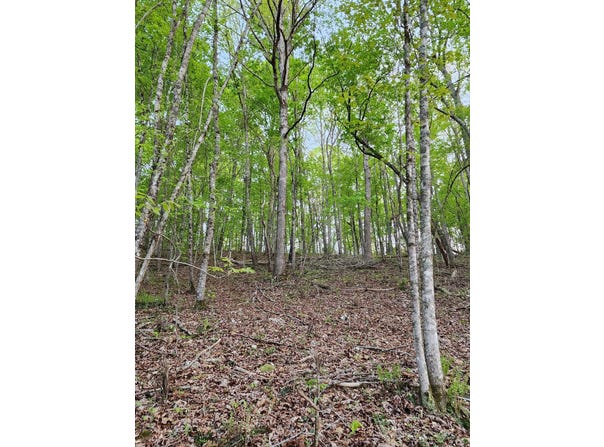 4622 Parker Loop Road, Birchwood, TN 37308
