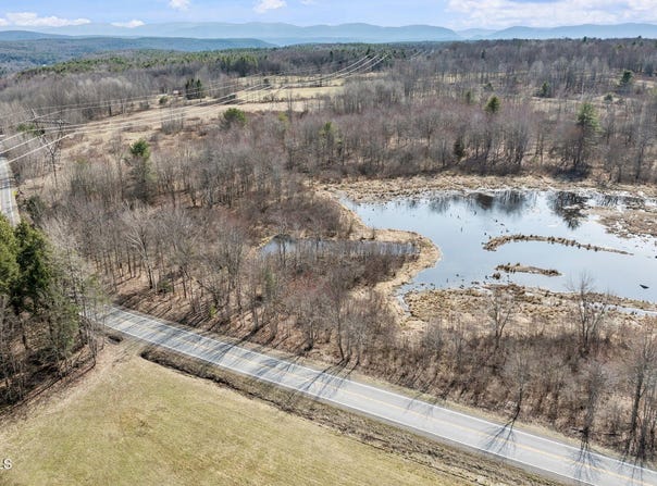 L8.00 Guinea Road, Gilboa, NY 12076