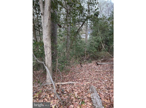 BEECH TRAIL, CROWNSVILLE, MD 21032