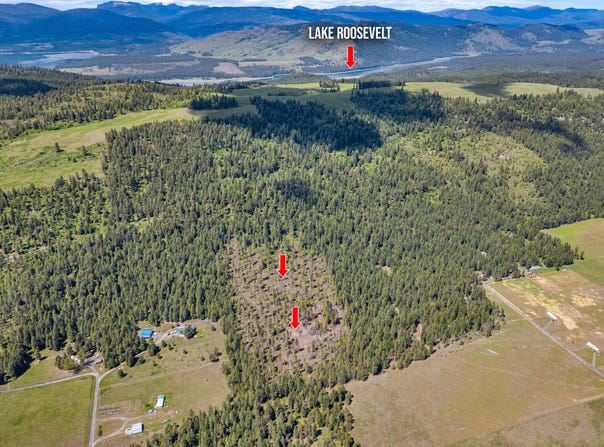 11XX WILLIAMS LAKE RD, EVANS, WA 99126