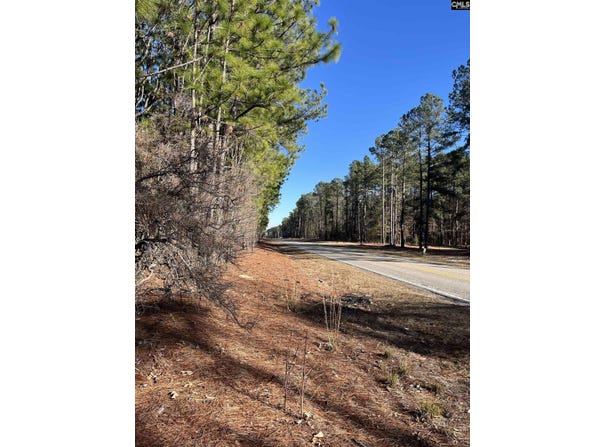 TBD Swansea Road Tract b, Swansea, SC 29160