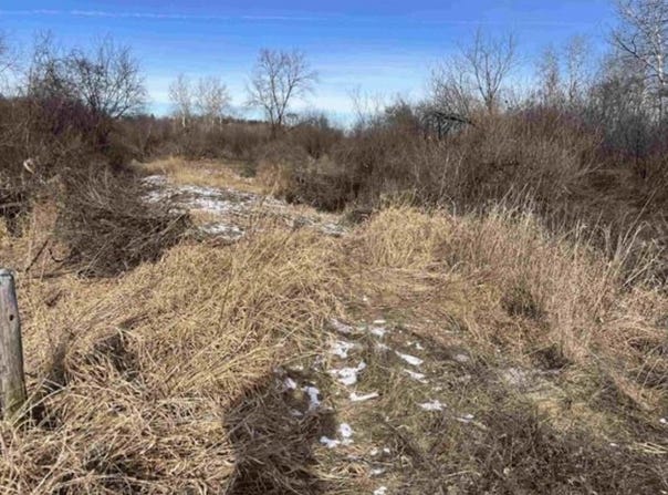 Grapevine, Tomah, WI 54660