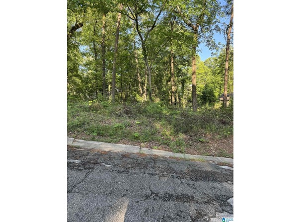 5113 BIDDLE CIRCLE, MOUNT OLIVE, AL 35117