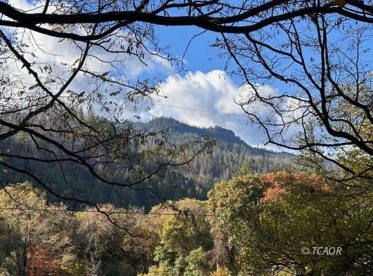 531 Wood Ln, Salyer, CA 95563