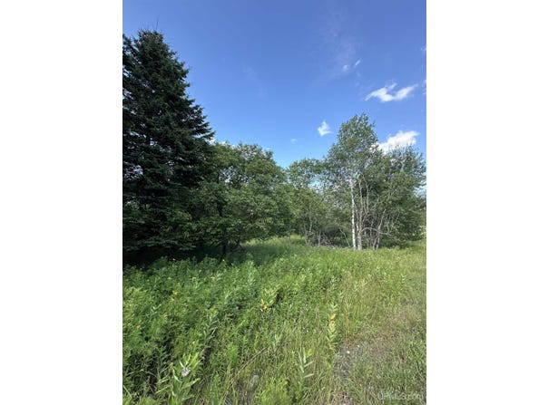 TBD Blossom, Iron River, MI 49935