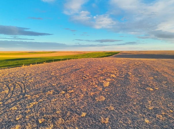 Road 14s, Bushnell, NE 39128