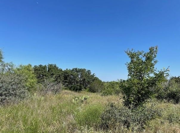 165 Indian Mountain Trail, Brownwood, TX 76801