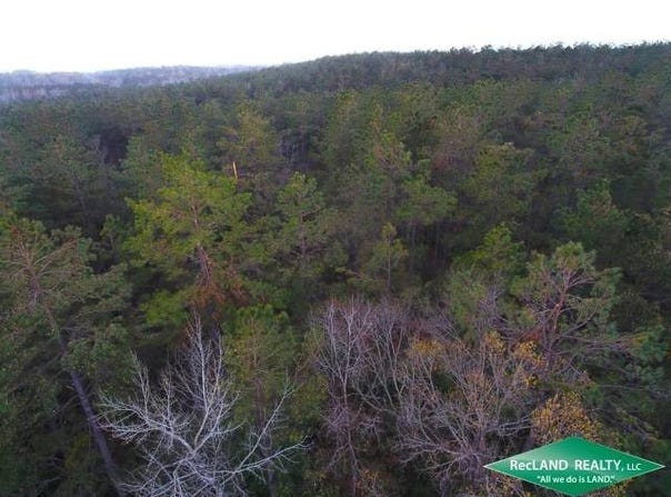 TBD Guyton Loop Road, Eros, LA 71238