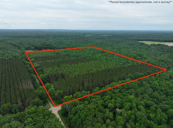V/L 40a W 9 Mile Road, Irons, MI 49644