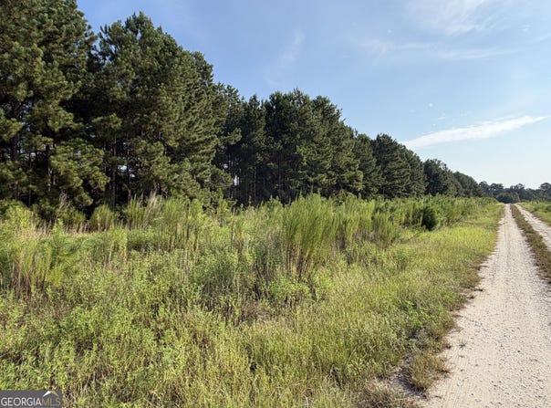 Highway 296, Stapleton, GA 30823