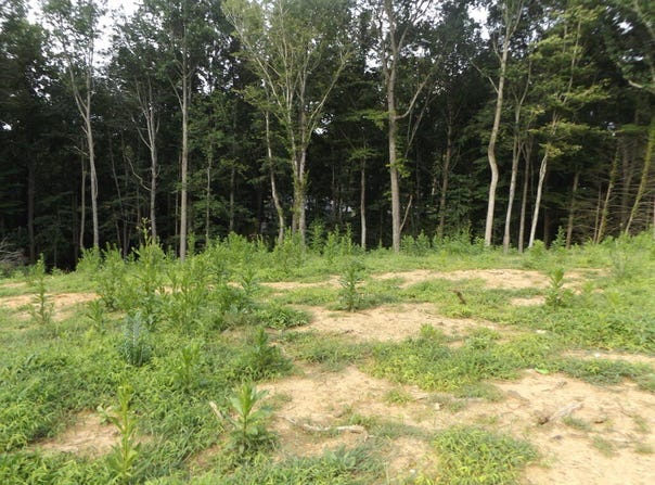 Maple St. lot: 20, Hillsville, VA 24343