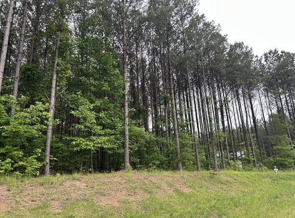 1771 Crockett Point, Jasper, TN 37347