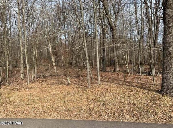 Lot 260 Reid Road, Lake Ariel, PA 18436