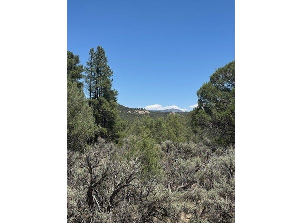 Lot 7 Unit 5, Tierra Amarilla, NM 87575