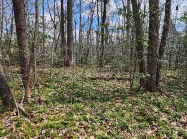 10.79ac S/O Buffalo Rd, Oneida, TN 37841