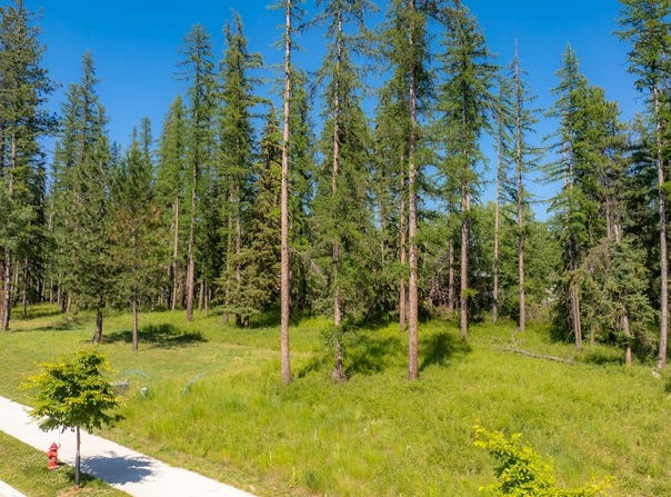 169 Mountain Brook Lane, Whitefish, MT 59937