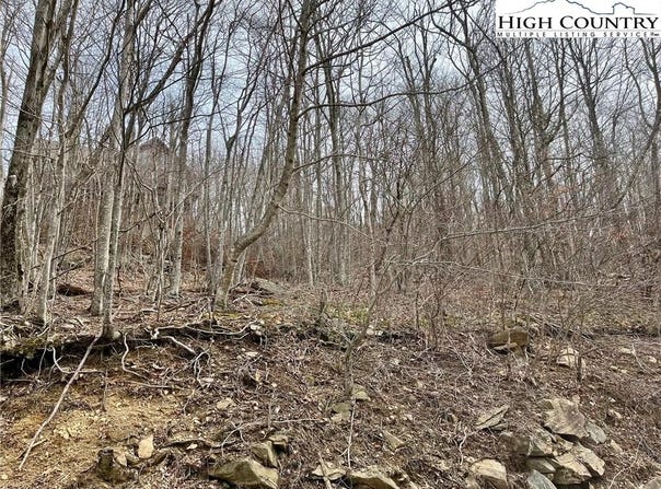 105 Thistle Lane, Beech Mountain, NC 28604