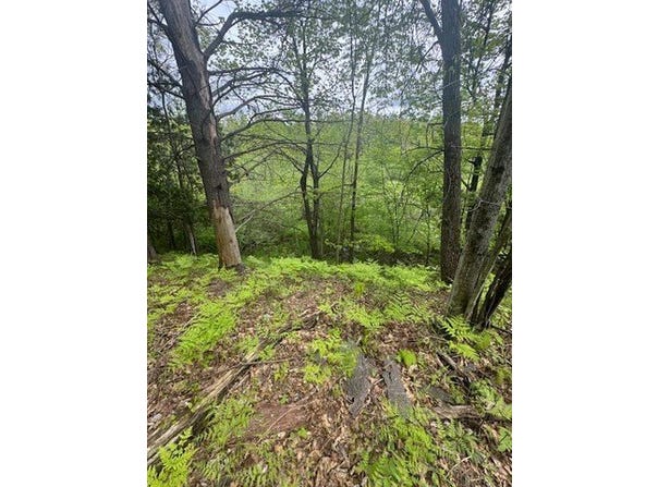 1750 Maple Point Road, Beaverton, MI 48612