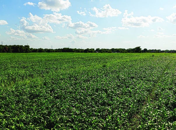 TBD Crestwood St, North Enid, OK 73701