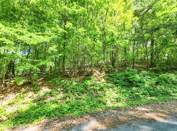 208 Sara Lane, Maynardville, TN 37807