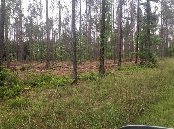 MIKE McC0NNELL Avenue, Iva, SC 29655
