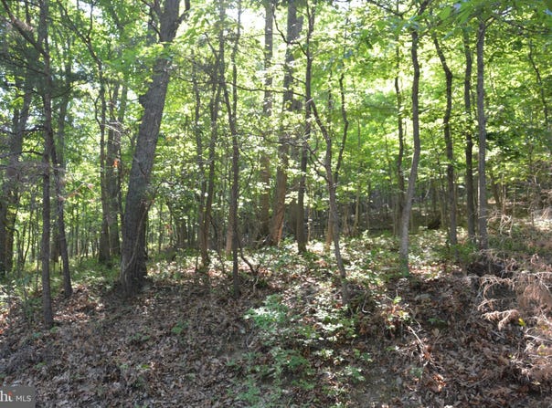 3 Lots - 59, 60, 61 BALDWIN Road, FRONT ROYAL, VA 22630
