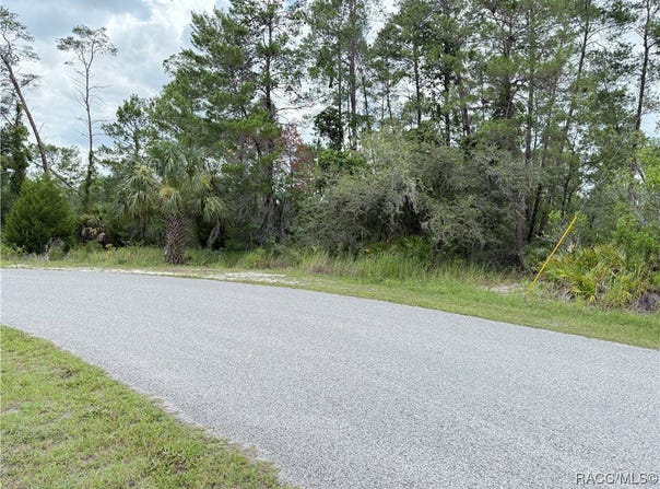 Bahama Swallow Avenue, Weeki Wachee, FL 34613