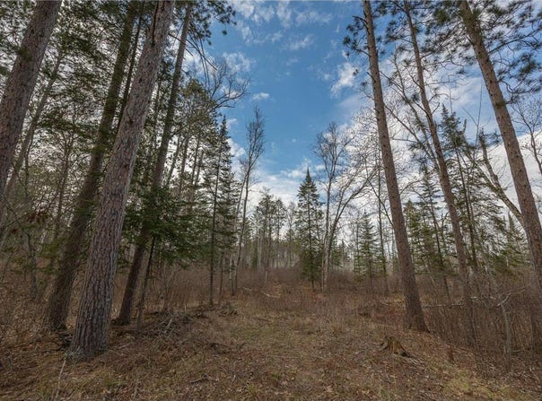 Tbd N Bass Lake Drive NE, Remer, MN 56672