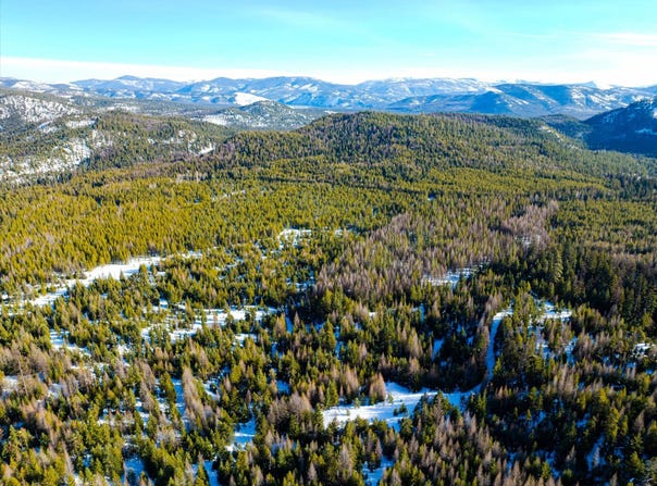NHN Elk Creek - McGinnis Meadows Road Section 11, Libby, MT 59923