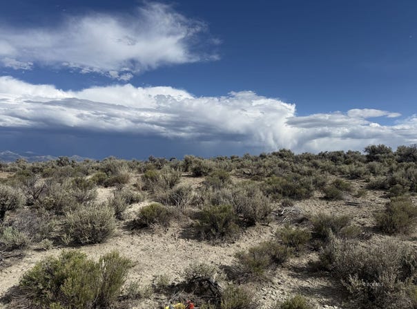 Canvasback Avenue, Deeth, NV 89823
