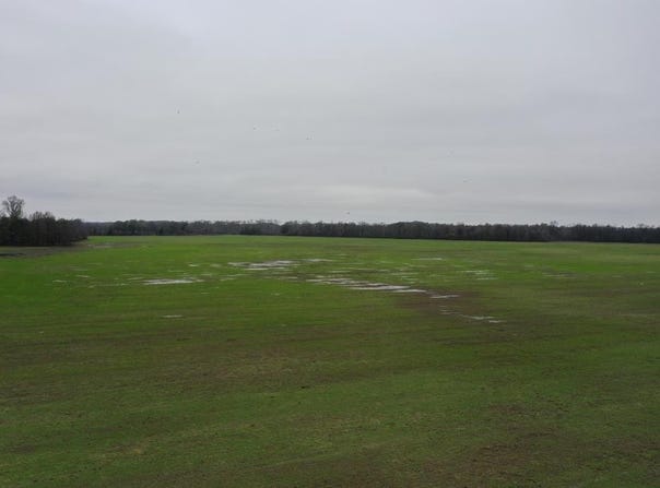 2000 Walnut Lake Road-Dundee, MS 38626