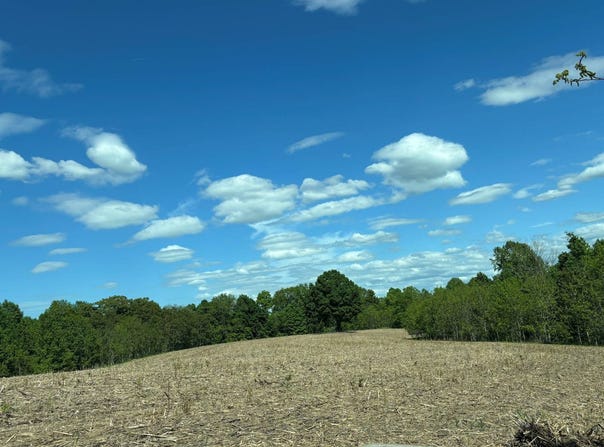1 Hwy 1547, Liberty, KY 42539