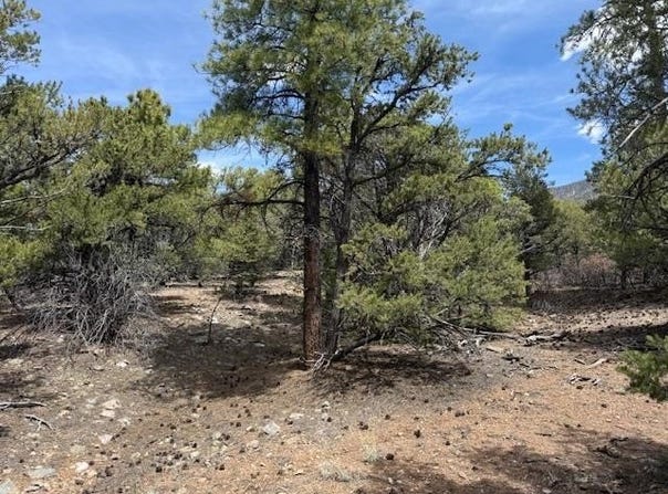 Upper Penabete lot: 58, Questa, NM 87556