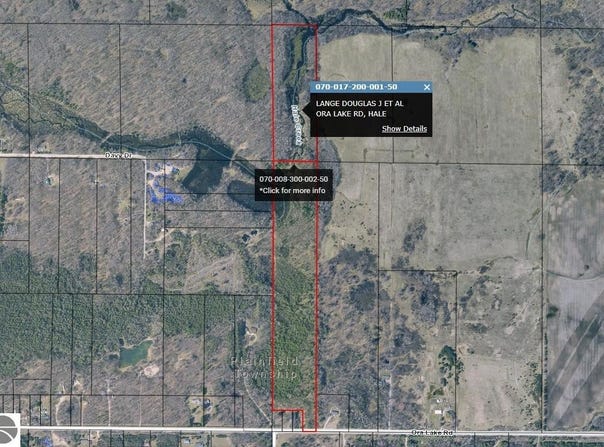 8480 Ora Lake Road, Hale, MI 48739