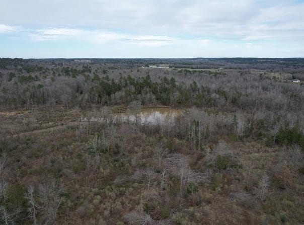 Tbd County Road 378, Laneville, TX 75667