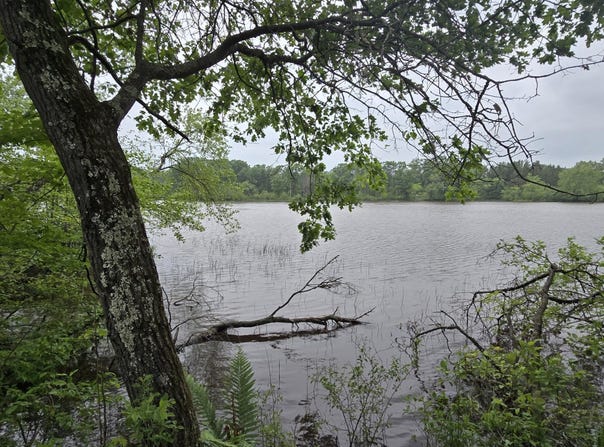 W5834 WATERSTONE LANE, New Lisbon, WI 53950