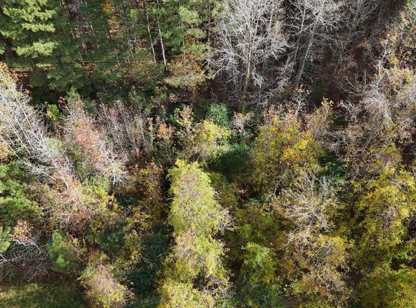 Sr 1100, Blounts Creek, NC 27814