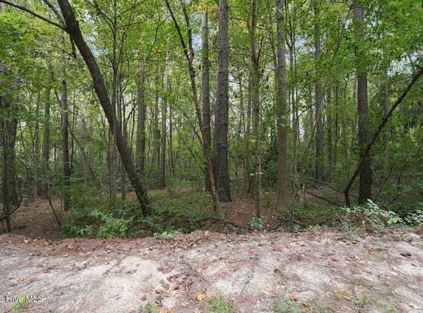 134 Bellhaven Drive, Carthage, NC 28327