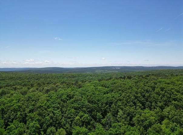 Tract 46 Trail Ridge Rd., Albion, OK 74571