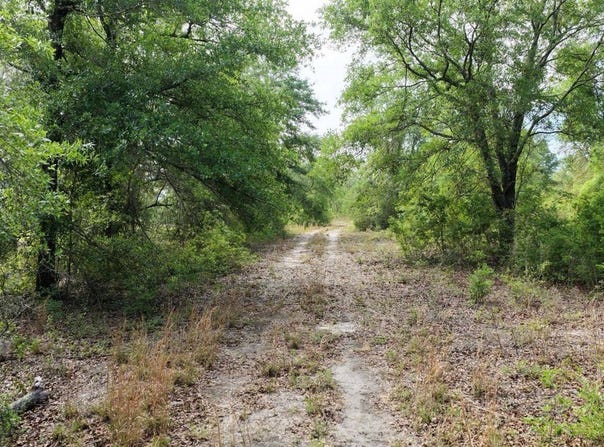 Vacant NE Cedar Trail, Pinetta, FL 32350